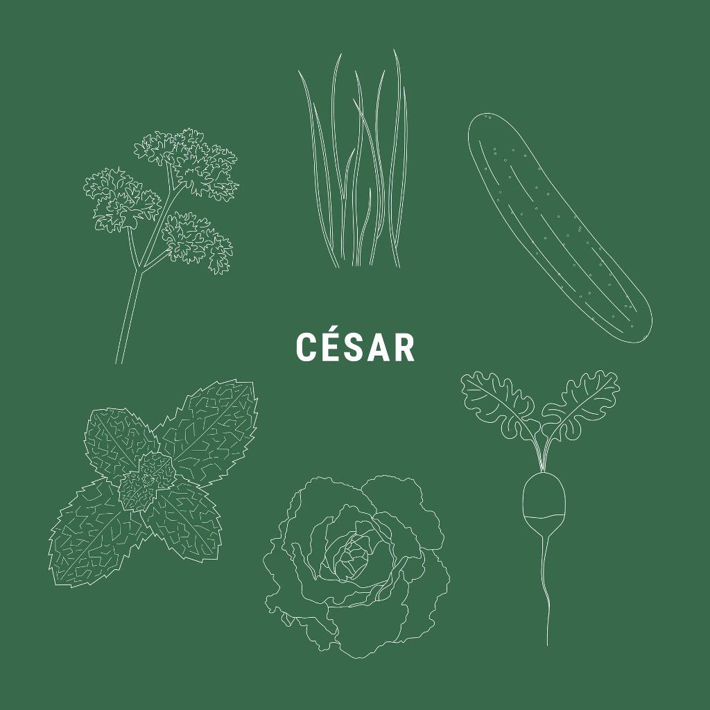 César - Ton Pot' salade fraîcheur