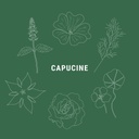 Capucine - Ton Pot' salade fleurie