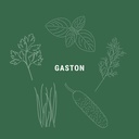 Gaston - Ton Pot' épicé cornichon