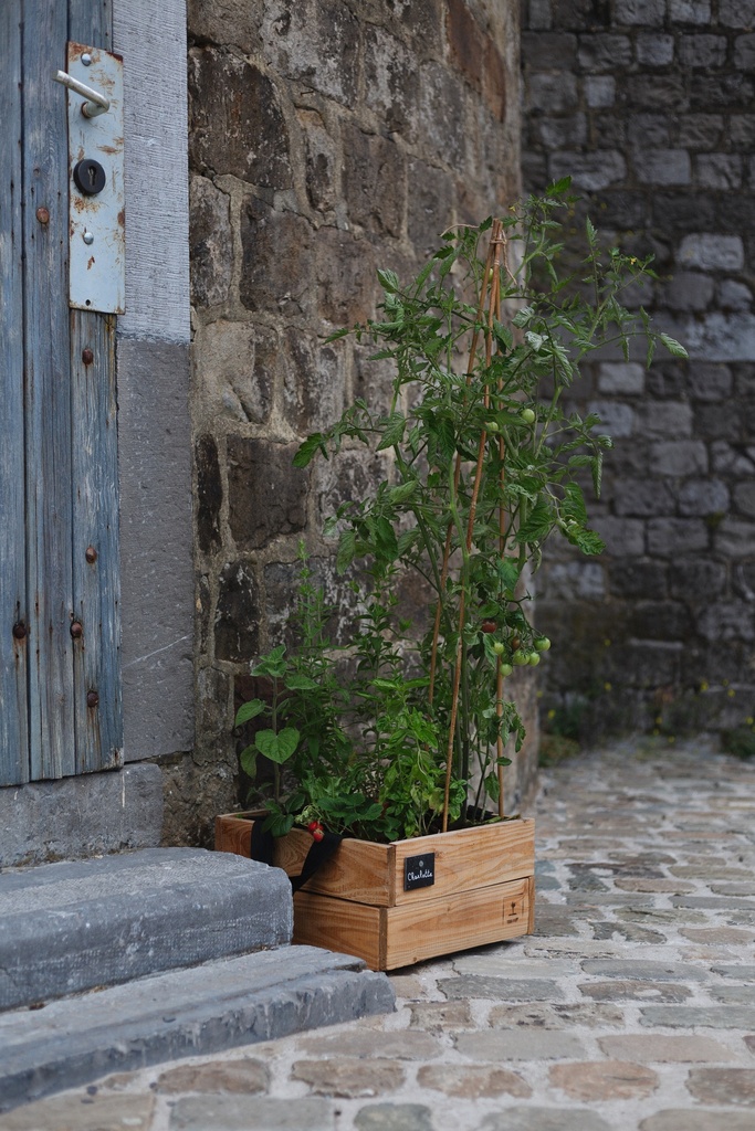 Charlotte - Ton Pot' fruité