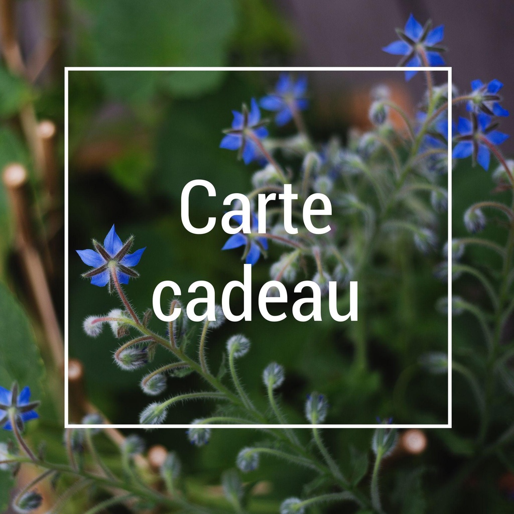 Carte cadeau - Pot' en location