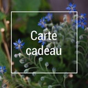 Carte cadeau - Pot' en vente