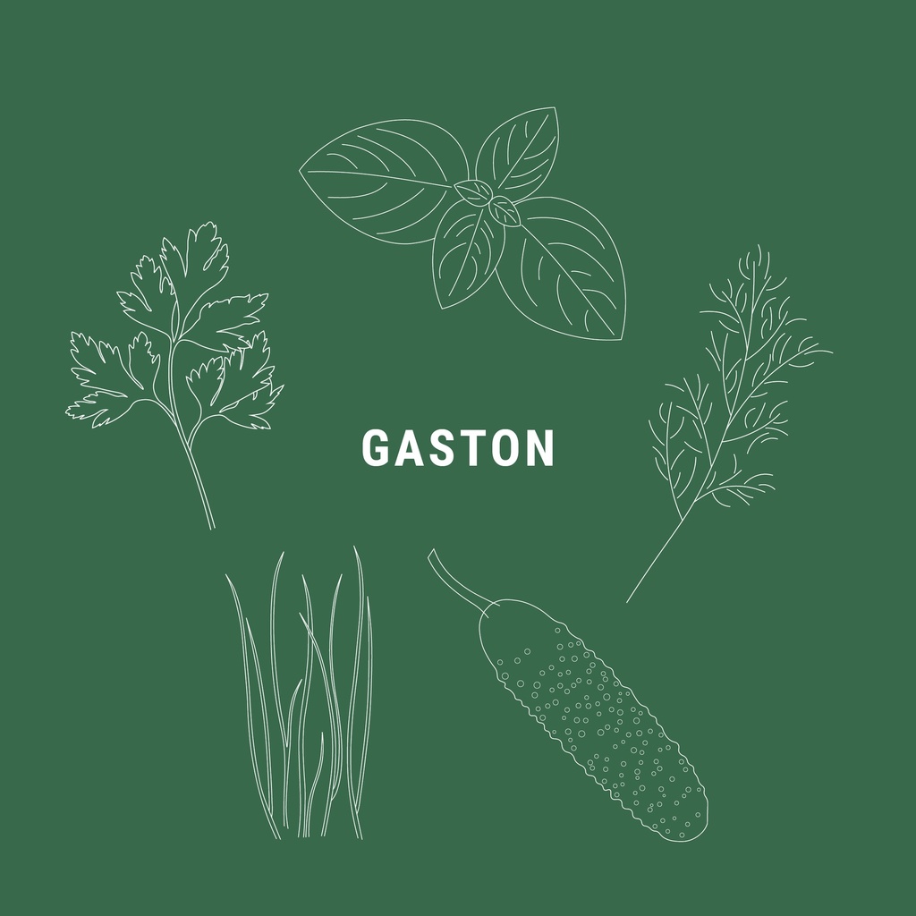 Pack de recharge - Gaston