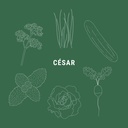 Pack de recharge - César